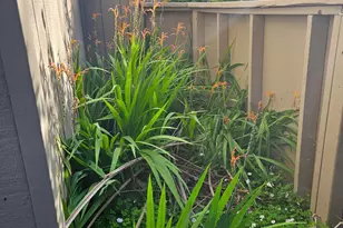 7643 Camino Colegio, Rohnert Park, CA 94928 - Photo 7