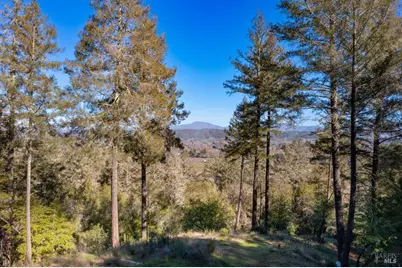 3210 W Dry Creek Road, Healdsburg, CA 95448 - Photo 17