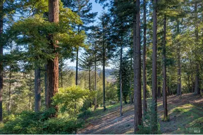 3210 W Dry Creek Road, Healdsburg, CA 95448 - Photo 9