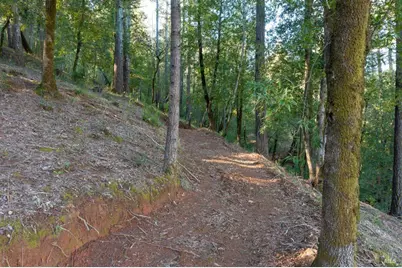 3210 W Dry Creek Road, Healdsburg, CA 95448 - Photo 13