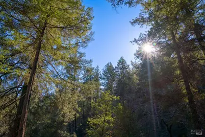 3210 W Dry Creek Road, Healdsburg, CA 95448 - Photo 25