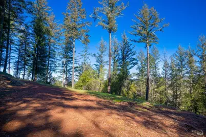 3210 W Dry Creek Road, Healdsburg, CA 95448 - Photo 19