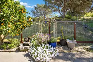 1314 Turquoise Dr, Hercules, CA 94547 - Photo 43