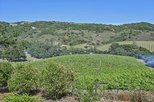 510 Paragon Way, Sonoma, CA 95476 - Photo 7