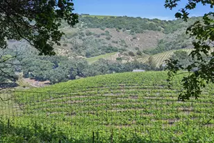510 Paragon Way, Sonoma, CA 95476 - Photo 21