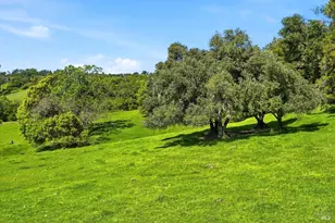 11850 Brooks Rd, Windsor, CA 95492 - Photo 43