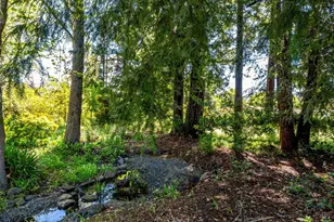 1040 Mt George Ave, Napa, CA 94558 - Photo 45
