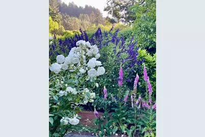 161 Lagunitas Road, Ross, CA 94957 - Photo 47