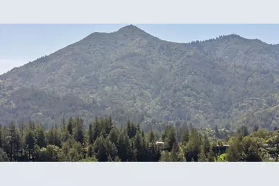 161 Lagunitas Road, Ross, CA 94957 - Photo 41