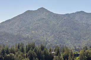 161 Lagunitas Rd, Ross, CA 94957 - Photo 41