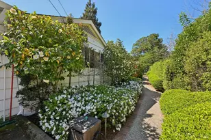 161 Lagunitas Rd, Ross, CA 94957 - Photo 39