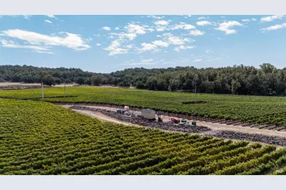 3340 Lichau Road, Penngrove, CA 94951 - Photo 7