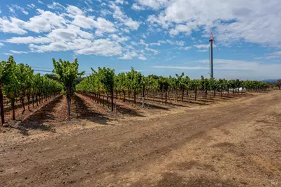 3340 Lichau Road, Penngrove, CA 94951 - Photo 21