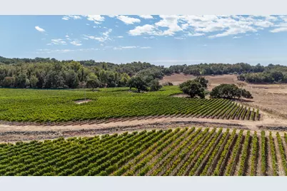 3340 Lichau Road, Penngrove, CA 94951 - Photo 13