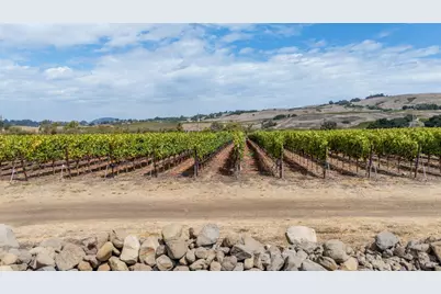 3340 Lichau Road, Penngrove, CA 94951 - Photo 11