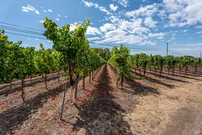 3340 Lichau Road, Penngrove, CA 94951 - Photo 17