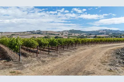 3340 Lichau Road, Penngrove, CA 94951 - Photo 9