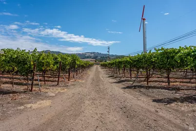 3340 Lichau Road, Penngrove, CA 94951 - Photo 19