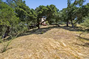 180 El Cerrito Ave, San Rafael, CA 94901 - Photo 37