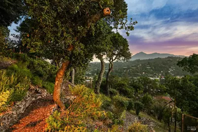 180 El Cerrito Avenue, San Rafael, CA 94901 - Photo 59