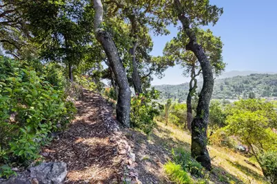 180 El Cerrito Avenue, San Rafael, CA 94901 - Photo 45