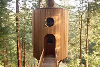 39 Renz Road, Mill Valley, CA 94941 - Photo 67