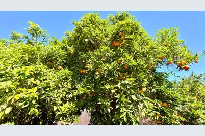 544 B Street, Hollister, CA 95023 - Photo 35