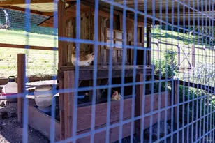 433 San Geronimo Valley Dr, San Geronimo, CA 94963 - Photo 73