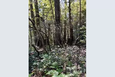 388 Moonraker Road, The Sea Ranch, CA 95497 - Photo 5