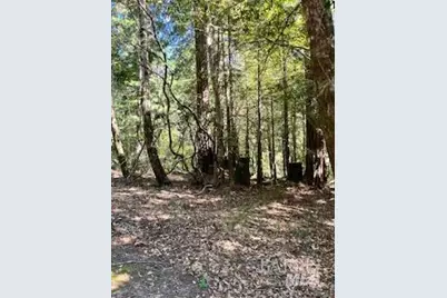 388 Moonraker Road, The Sea Ranch, CA 95497 - Photo 3