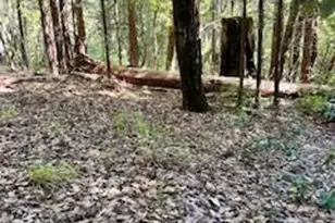 388 Moonraker Rd, The Sea Ranch, CA 95497 - Photo 1