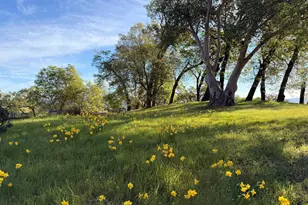 12801 Valley View Dr, Ukiah, CA 95482 - Photo 7