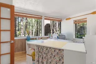 333 Fish Hook, The Sea Ranch, CA 95497 - Photo 19