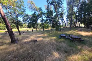 97420 Mina Rd, Covelo, CA 95428 - Photo 35