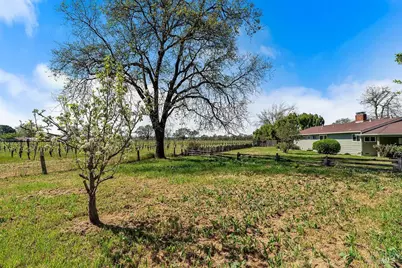 878 Pauline Court, Santa Rosa, CA 95401 - Photo 23