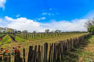 878 Pauline Ct, Santa Rosa, CA 95401 - Photo 23