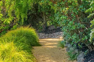 105 Kipling Dr, Mill Valley, CA 94941 - Photo 53