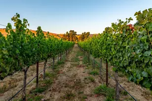 2143 Buena Vista Ave, Gilroy, CA 95020 - Photo 41