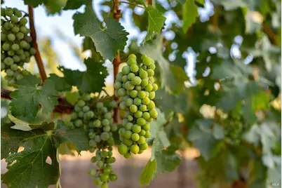 2143 Buena Vista Avenue, Gilroy, CA 95020 - Photo 25