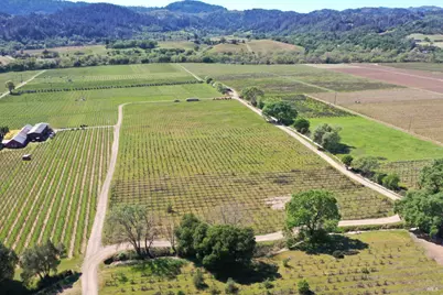 4304 Dry Creek Road, Healdsburg, CA 95448 - Photo 47