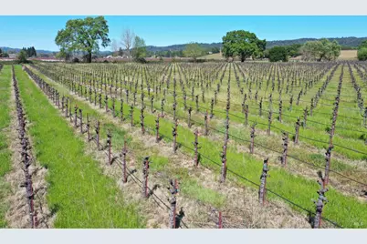 4304 Dry Creek Road, Healdsburg, CA 95448 - Photo 27