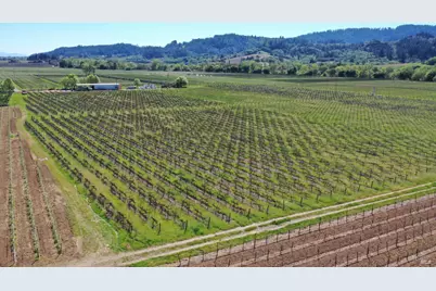 4304 Dry Creek Road, Healdsburg, CA 95448 - Photo 25