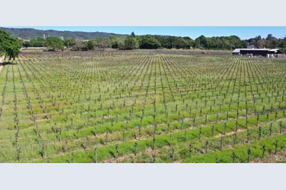 4304 Dry Creek Road, Healdsburg, CA 95448 - Photo 47