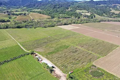 4304 Dry Creek Road, Healdsburg, CA 95448 - Photo 29