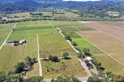 4304 Dry Creek Road, Healdsburg, CA 95448 - Photo 31