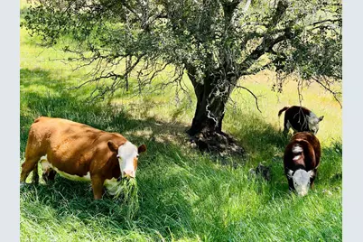 5870 Silverado Trail, Napa, CA 94558 - Photo 59