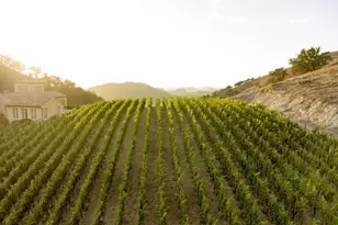 5870 Silverado Trail, Napa, CA 94558 - Photo 73