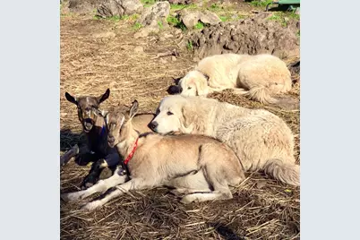 5870 Silverado Trail, Napa, CA 94558 - Photo 63