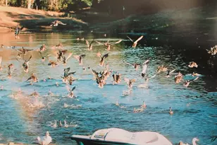 18300 Morgan Valley Rd, Lower Lake, CA 95457 - Photo 17