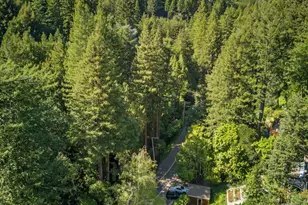 334 W Blithedale Ave, Mill Valley, CA 94941 - Photo 73